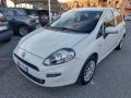 usato FIAT Punto