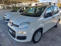 usato FIAT Panda