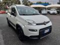 usato FIAT Panda