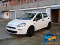 usato FIAT Punto