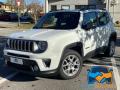 usato JEEP Renegade