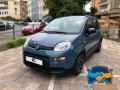 usato FIAT Panda