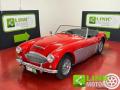 usato AUSTIN Healey