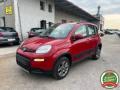 usato FIAT Panda