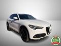 usato ALFA ROMEO Stelvio