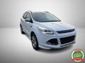 usato FORD Kuga