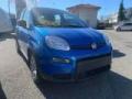 Km 0 FIAT Panda