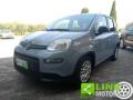 usato FIAT Panda