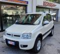 usato FIAT Panda