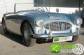 usato AUSTIN Healey