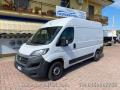 usato FIAT Ducato