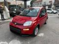 Km 0 FIAT Panda