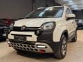 usato FIAT Panda Cross