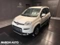 usato FIAT Panda