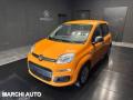 usato FIAT Panda