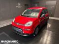 usato FIAT Panda