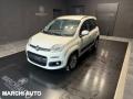 usato FIAT Panda