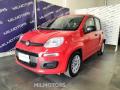 usato FIAT Panda