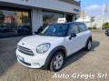 usato MINI Countryman