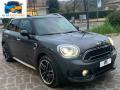 usato MINI Countryman