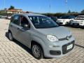 usato FIAT Panda