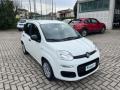 usato FIAT Panda