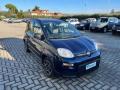 usato FIAT Panda