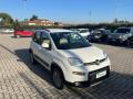 usato FIAT Panda