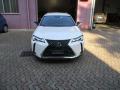 usato LEXUS UX 250h