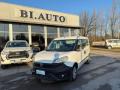 usato FIAT Doblo