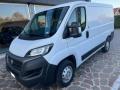 usato FIAT Ducato