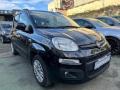 usato FIAT Panda