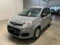 usato FIAT Panda