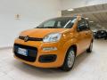 usato FIAT Panda