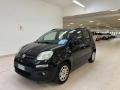 usato FIAT Panda