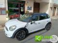 usato MINI Countryman