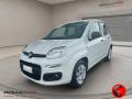 usato FIAT Panda