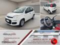 usato FIAT Panda