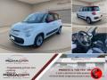 usato FIAT 500L