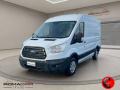 usato FORD Transit