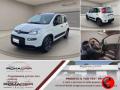 usato FIAT Panda