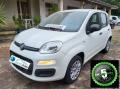 usato FIAT Panda