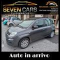 usato FIAT Panda