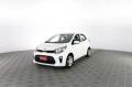 usato KIA Picanto