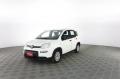 usato FIAT Panda