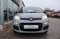 usato FIAT Panda