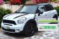 usato MINI Countryman