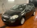 usato FIAT Punto Evo