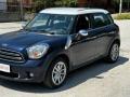 usato MINI Countryman