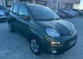 usato FIAT Panda